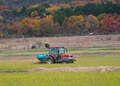 Производители удобрений снизят российские цены на 15-20% на время посевной