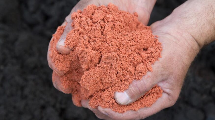 «Беларуськалий» увеличил в 2014 г производство калийных удобрений