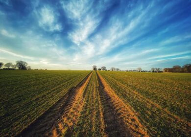 «ЕвроХим» и Минсельхоз Чечни заключили соглашение о сотрудничестве