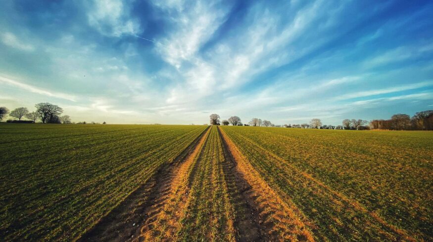 «ЕвроХим» и Минсельхоз Чечни заключили соглашение о сотрудничестве