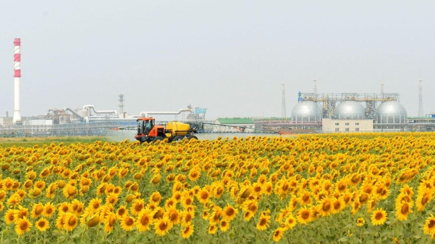 «Фосагро» планирует вложить в модернизацию более $1 млрд за следующие три года