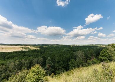 Россия планирует оспорить пошлины Украины на аммиачную селитру в ВТО