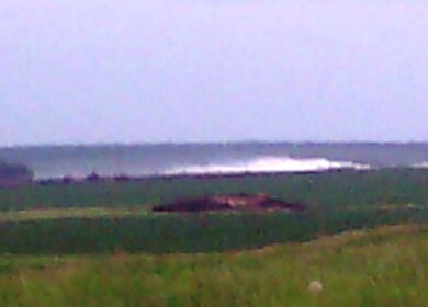 «Зеленый патруль» сообщил об аварии на аммиакопроводе в Воронежской области