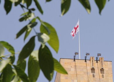 «ЕвроХим» планирует увеличить в 1,5 раза объем экспорта продукции в Грузию