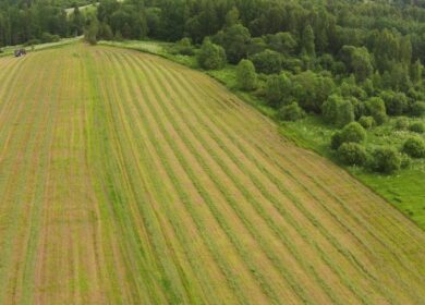 Минсельхоз получит первые данные космомониторинга сельхозземель