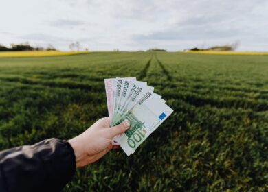 В расширение завода удобрений в Жамбылской области планируется инвестировать около 1 млрд. долларов