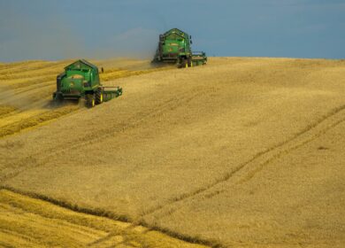 Россия может собрать 113 млн тонн зерна в 2016 году