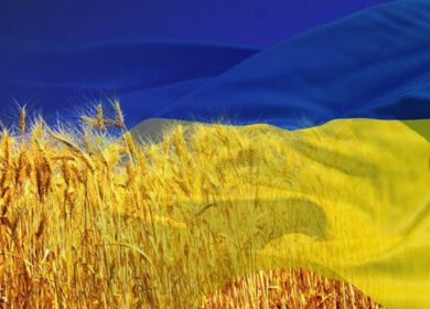 Украинские аграрии пытаются договориться с производителями удобрений по вопросу формирования справедливых цен