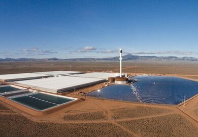 Первая в мире «солнечная» ферма для выращивания овощей в пустыне