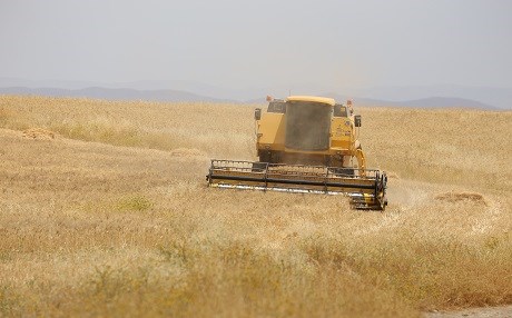 750 тонн удобрений для иракских фермеров
