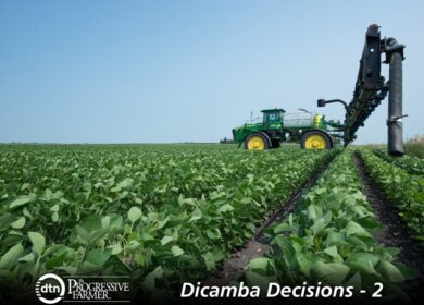 Опасности ветряного дрифта при применении гербицидов