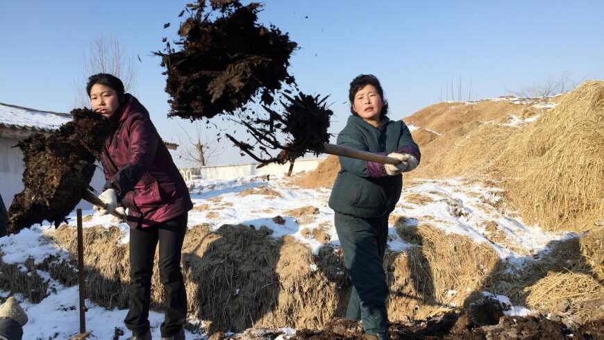 «Удобрения чучхе» повысят урожайность в Северной Корее