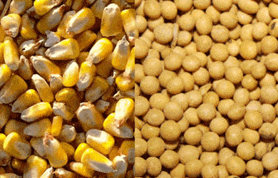 Влияние азотных удобрений на содержание углерода в почвах