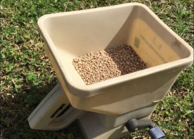 Удобрения для травяного покрова — как сделать правильный выбор