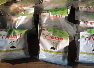 Карагандинские ученые разработали новое органо-минеральное удобрение «Гуминт»