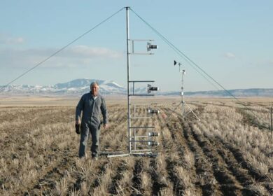 Почвоведы из штата Монтана исследовали причины улетучивания азотных удобрений