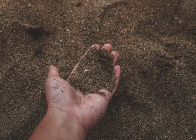 Армянская компания Agro IG планирует начать производство органических удобрений по новой технологии