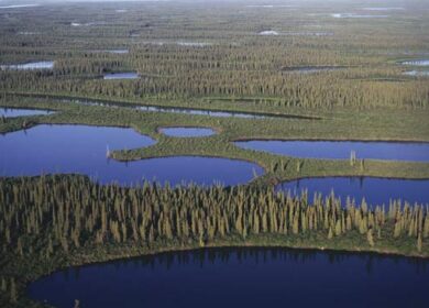 K+S Potash Canada выделила 2,8 млн. долл. на защиту окружающей среды