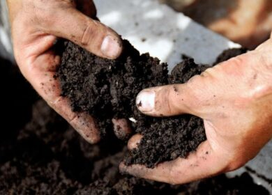 Этим летом в ряде штатов Среднего Запада пройдут полевые семинары по уходу за состоянием почвы