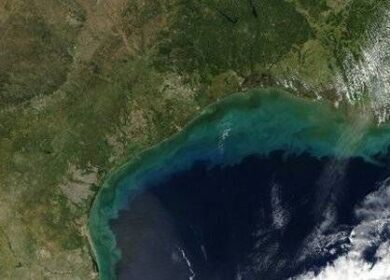 В этом году «мертвая зона» в Мексиканском заливе станет третьей по величине в мире