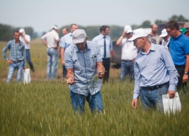 В Промышленновском районе прошел форум «Кузбасский день поля»
