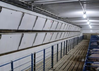 Automated Production Systems выводит на рынок новые системы вентиляции для свиноводческих ферм