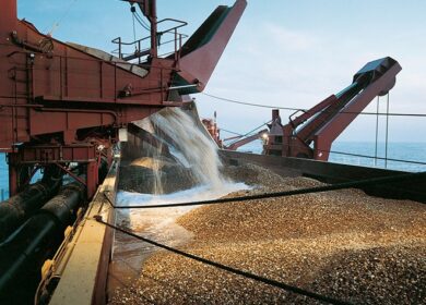 Компании Chatham Rock Phosphate было отказано в морской добыче фосфатов у Южного острова