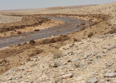 Крупная утечка кислотных отходов произошла на заводе по производству удобрений Israel Chemicals