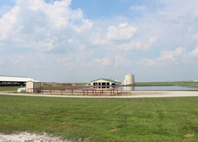 Midwestern BioAg создает новые удобрения для органического сельского хозяйства