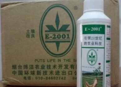 Найдено средство против позеленения цитрусовых, считают китайские специалисты