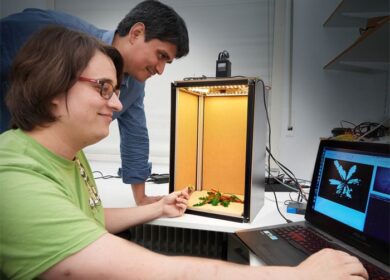 Уничтожение сорняков лазером — новое изобретение из Боннского университета