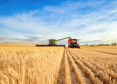 «АгроГард» успешно отработал первое полугодие