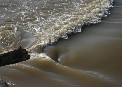 «Мертвая зона» в Мексиканском заливе выросла до размеров штата Нью-Джерси