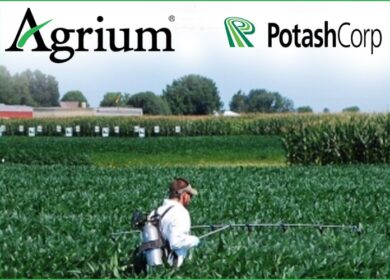 Слияние PotashCorp и Agrium будет завершено позднее, чем ожидалось ранее