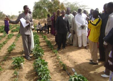 Биотехнологические решения компании Contec Global Agro поднимут сельское хозяйство Нигерии на новый уровень