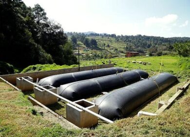 Биореакторы по переработке органических отходов помогут существенно сократить затраты фермеров