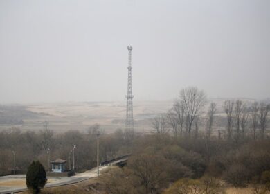 Паразитарная инфекция в Северной Корее вызвана использованием человеческих экскрементов в качестве удобрений