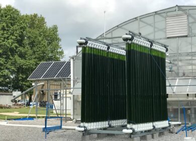 Удобрения из водяного пара и водорослей создадут в университете штата Индиана