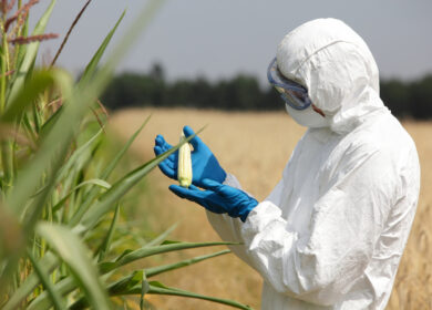 В США начались продажи новых пробиотиков
