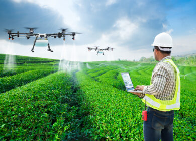 В Японии использование современных летающих дронов поднимет сельское хозяйство