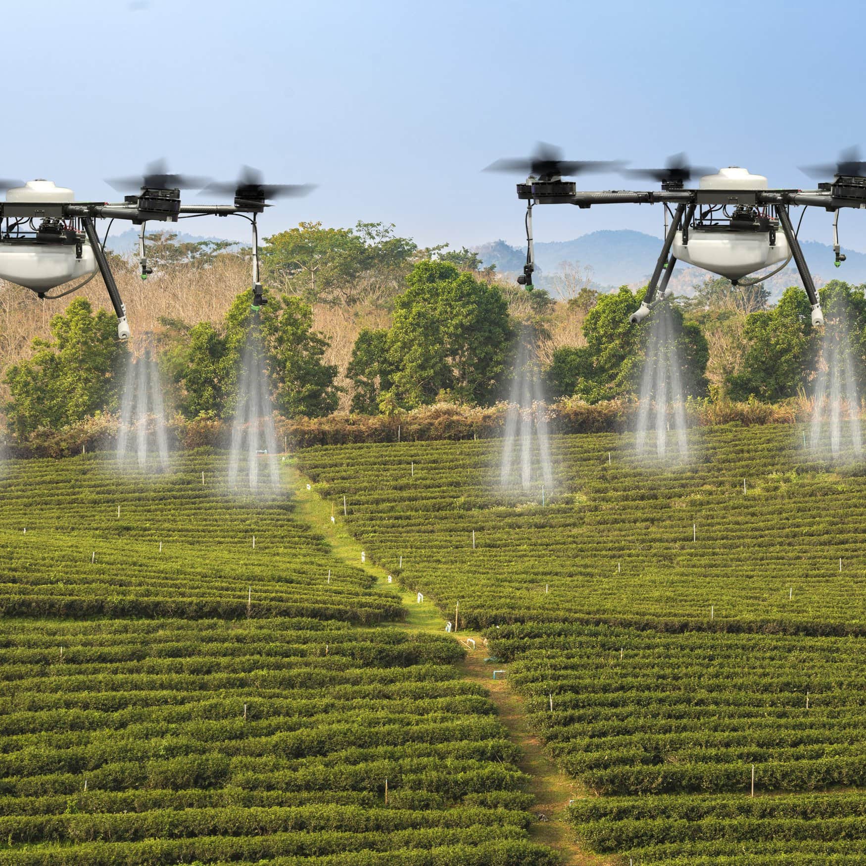 XAG и Bayer помогут японским фермерам