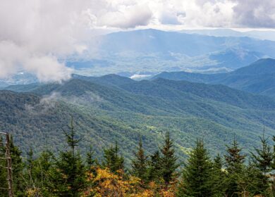 «Акрон» запустил экологический образовательный проект «Зеленая парадигма жизни на Земле»