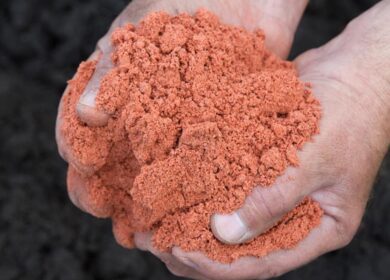 «Славкалий» продолжает строить ГОК в Беларуси