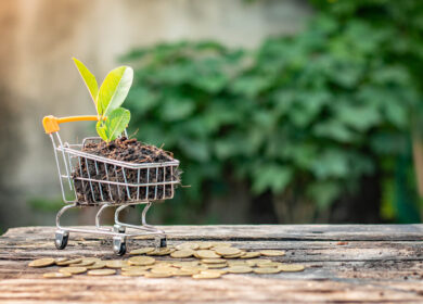 Удобрения в России в ближайшее время не подорожают