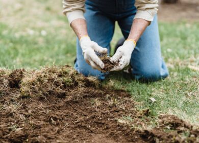 В Канаде запущена учебная программа по восстановлению экологии почв