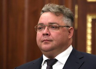 На Ставрополье появится агрохимический кластер