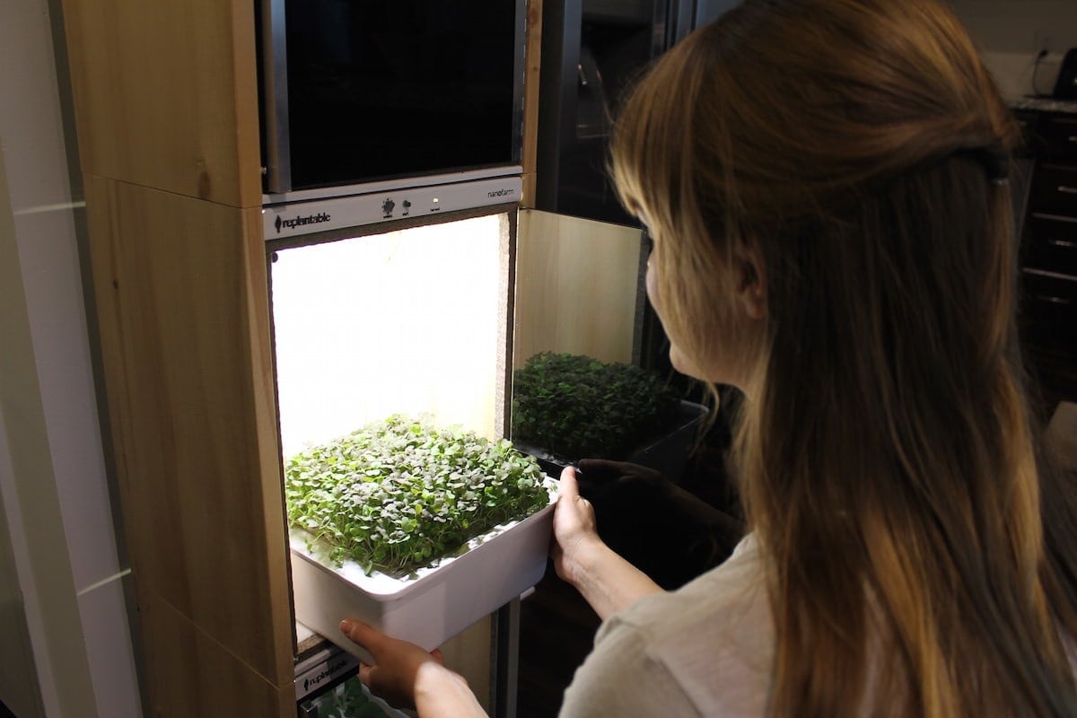 В США создали наноферму для кухни