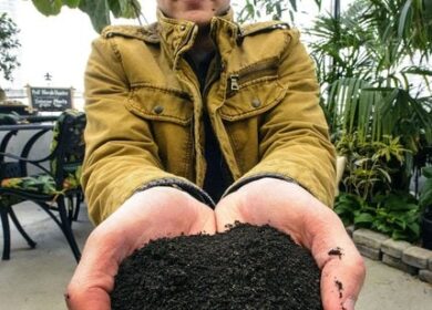 Новый стартап из Юты нацелен на рынок марихуаны