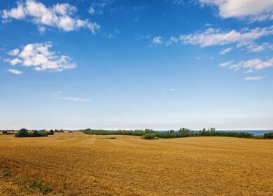 В Московской области вырастет оборот пашни