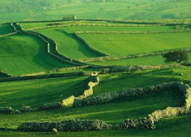 Не ладно все в ирландском королевстве